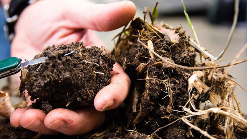 hand examining clump of soil organic matter