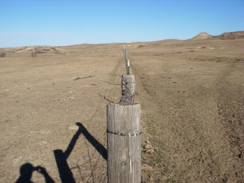 dry, over-grazed rangeland with severe drought symptoms.