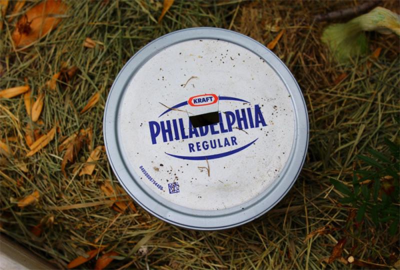 a small plastic container with a slit on the cover