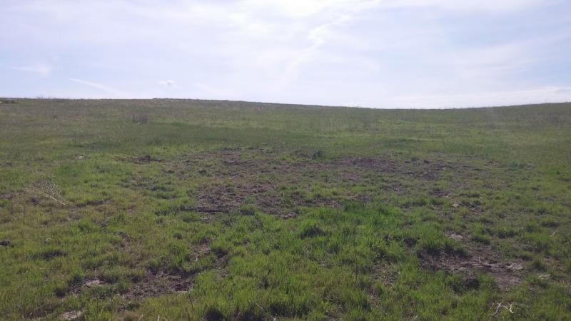 A green pasture with patches of bare soil under a blue sky containing several wispy white clouds.