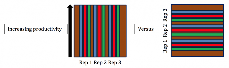 Field plot variability diagram. For a complete description, call Sara Bauder at 605-995-7378.