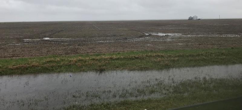 A soybean field in South Dakota looking very wet due to flooding from spring rains and melted snow.