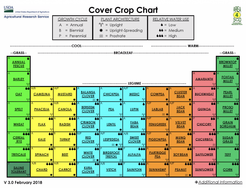 A graphic describing classification, growth cycle, plant architecture, and relative water use of common US cover crops. For more information, visit: https://www.ars.usda.gov/plains-area/mandan-nd/ngprl/docs/cover-crop-chart/