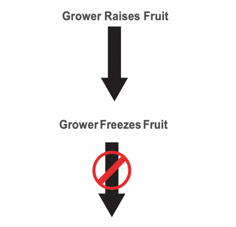 Two black arrows stacked on top of one another and pointing downward. The top arrow has the text "Grower Raises Fruit" above it. The bottom arrow has the text "Grower Freezes Fruit" above it and a red cross over the arrow.