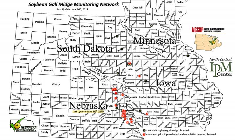 Black and white county map of South Dakota, Minnesota, Nebraska and Iowa. Red dots within counties indicate soybean gall midge emergence. Black dots represent trap locations.