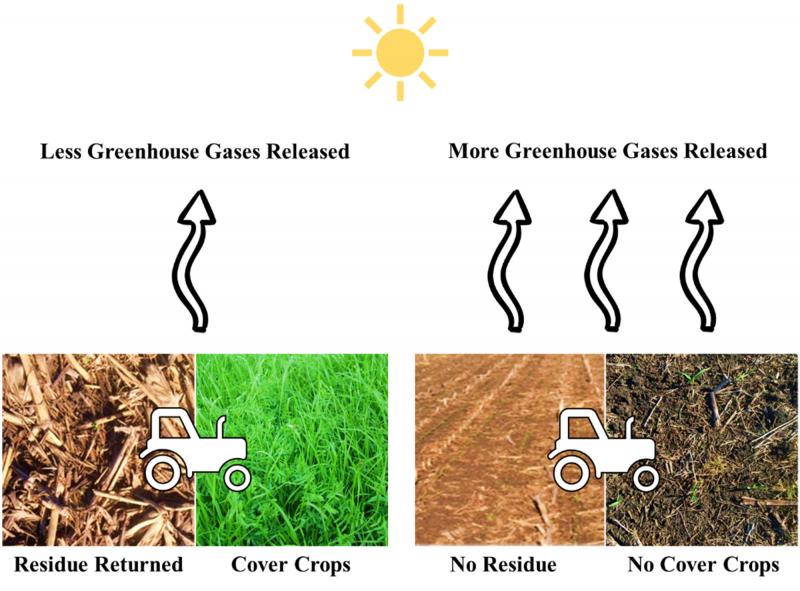 A figure illustrating showing the benefits of cover crops on greenhouse gases released. Fields with cover crops and residue returned release less greenhouse gases than fields with no cover crops or residue.