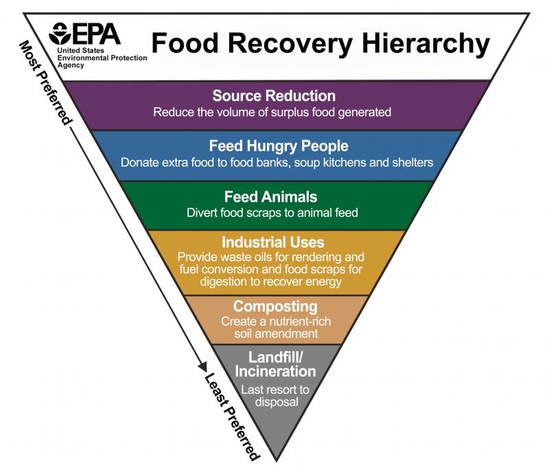 Food Waste In Schools And Strategies To Reduce It food-waste-in-schools-and-strategies-to-reduce-it
