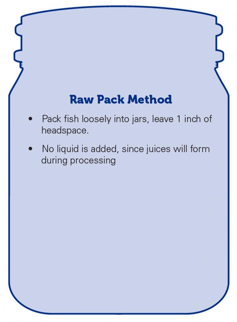 Outline of a canning jar with text explaining the raw pack method. To raw pack fish, loosely pack fish into jars, leave 1 inch of headspace. No liquid is added, since juices will form during processing.