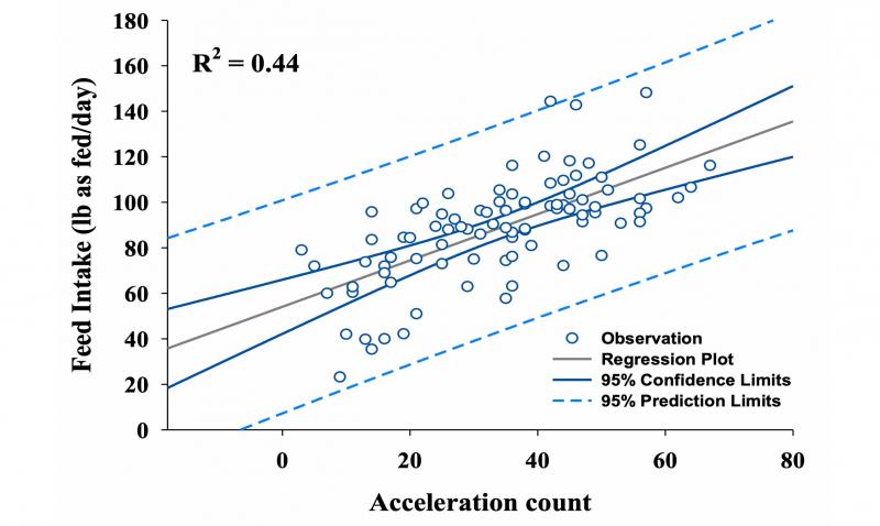 A scatter plot graph analyzing feed intake and acceleration count recorded by the accelerometers. The &quot;Y&quot; axis is labeled &quot;Feed Intake pounds as fed per day&quot;. The &quot;X&quot; axis is labeled &quot;Acceleration count.&quot; Several dots on the chart represent observations, while three lines represent the regression plot, 95% confidence limits, and 95% prediction limits. For a complete description, call SDSU Extension at 605-688-6729.