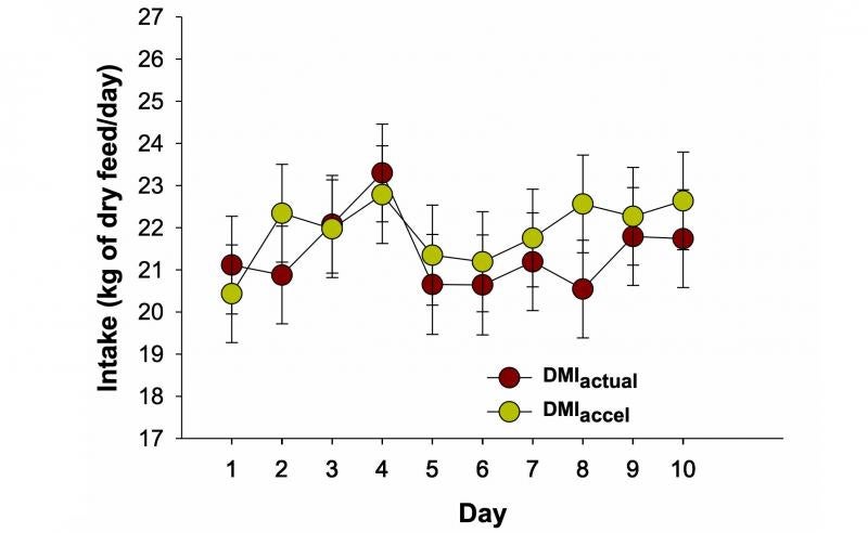 A scatter plot graph comparing &quot;actual intake&quot; and &quot;intake derived from acceleration.&quot; The &quot;Y&quot; axis is labeled &quot;Intake, kilograms of dry feed per day.&quot; The &quot;X&quot; axis is labled &quot;Days 1 through 10.&quot; Yellow plots represent dry matter derived from acceleration. Red plots represent actual dry matter intake. For a complete description, call SDSU Extension at 605-688-6729.