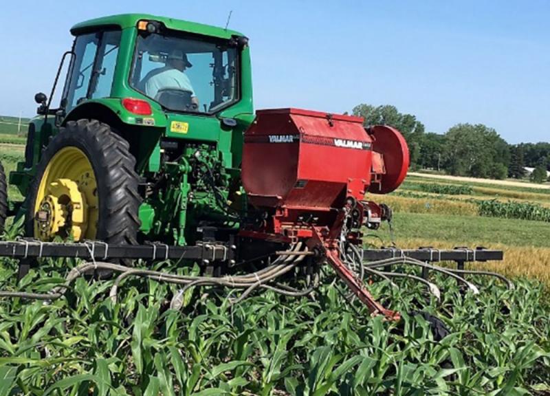 A green tractor, pulling a red, high-clearance planter through a field of emerging corn.