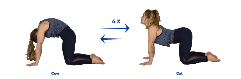 A young woman demonstrating the cow and cat yoga poses. For a complete description of the movements, call SDSU Extension at 605-688-6729.