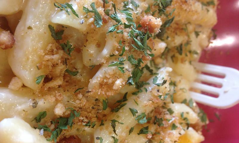 A plate of meat and veggie Mac and cheese.