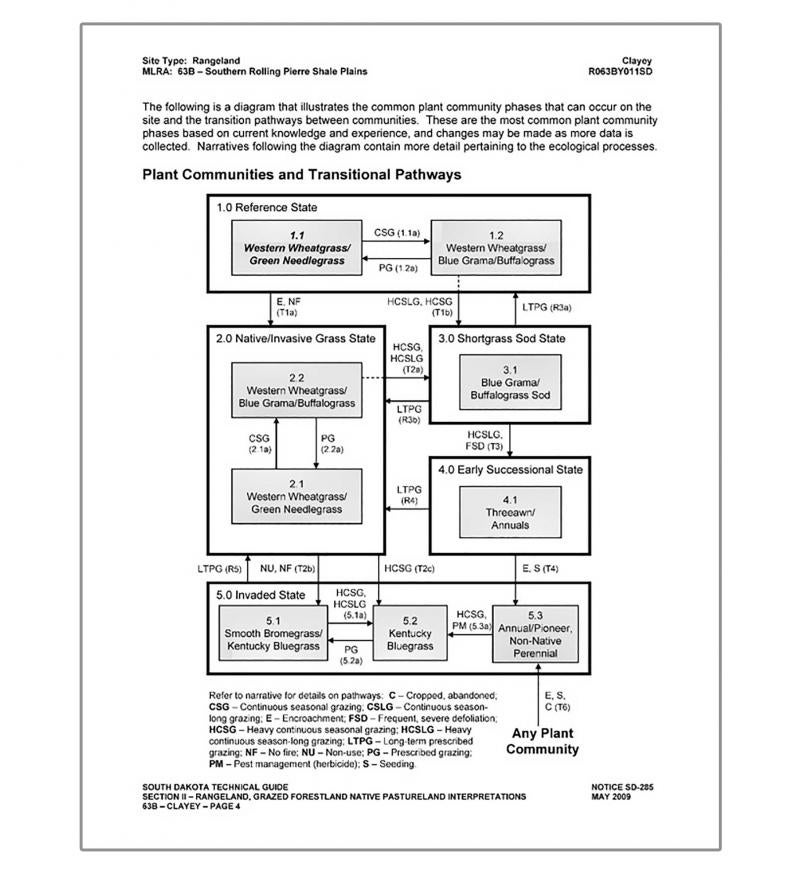 South Dakota state and transition model for MLRA 63B clayey ecological site Tripp County, South Dakota from NRCS. For a complete description, call SDSU Extension at 605-688-6729.