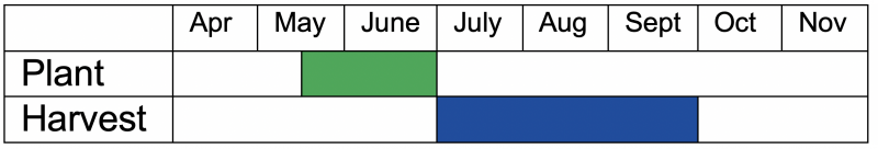 Cucumbers should typically be planted mid-May through July and harvested July through September.