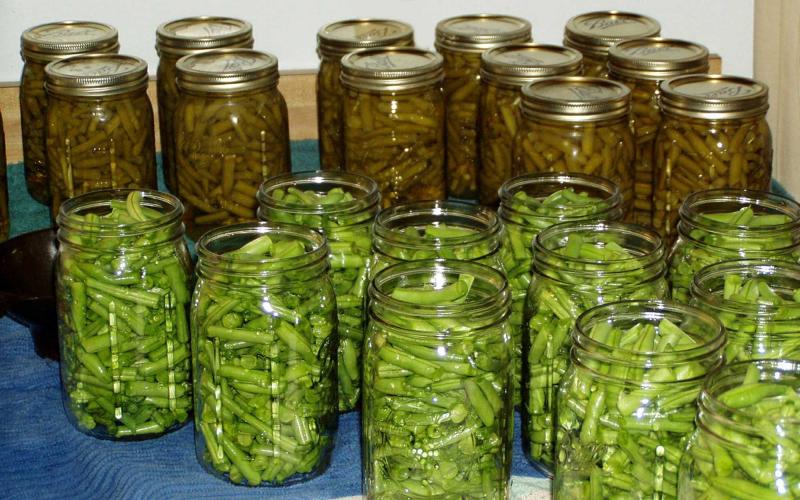 Several jars of canned green beans on a countertop.