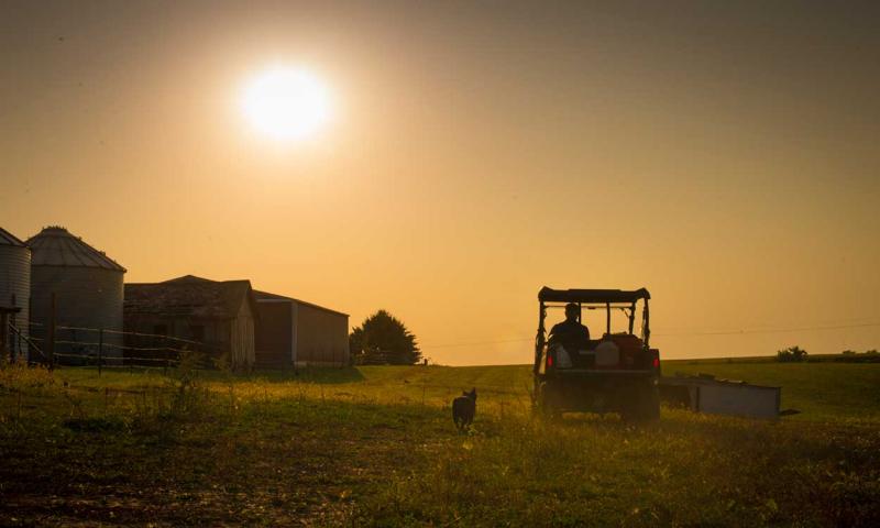 Rancher surveying pasture in an offroad vehicle.