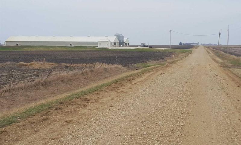 Gravel road with swine barn in the distance.
