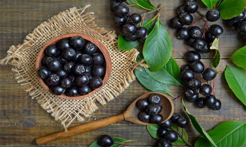 Aronia berries arranged on a kitchen countertop.