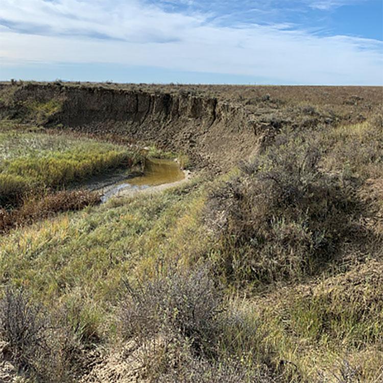 A stream that has a head cut, resulting in increased erosion.