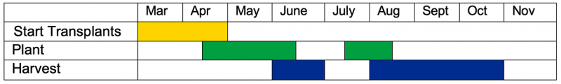 Salad green transplants should be started March through April, planted mid-April through Mid-June, or Mid July through Mid-August, and harvested June, or August through October.