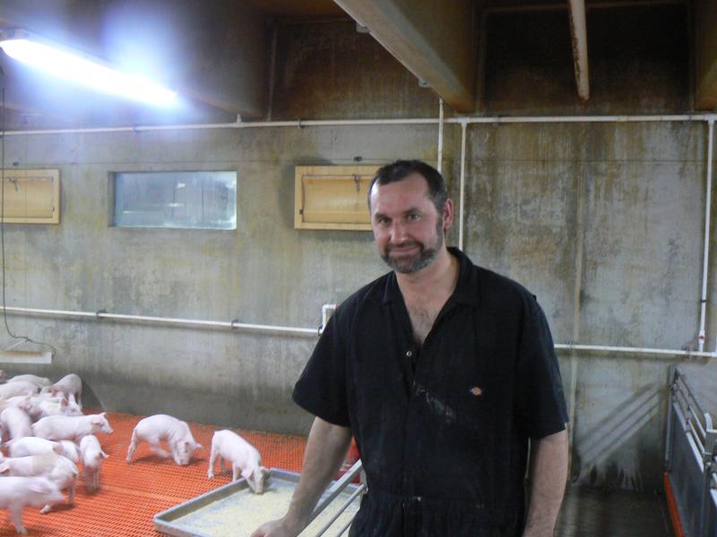 A man standing in a pig barn infront of a pen with piglets.