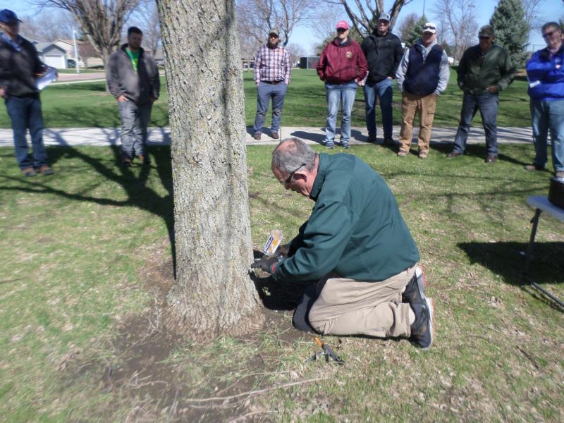 a man kneeling beside a tree with a group of people around him