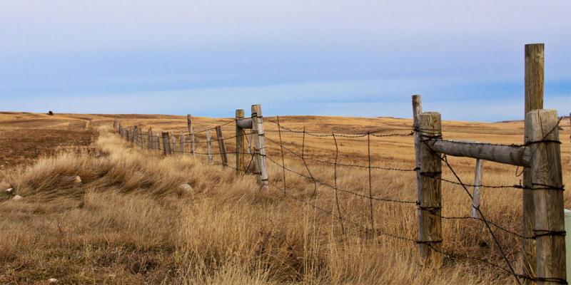 Fence line along a broad, open pasture.