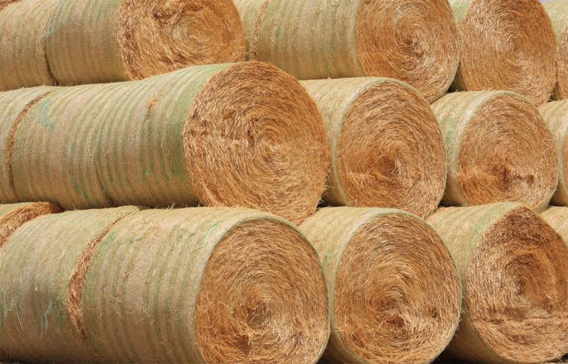 Stacked, round hay bales.