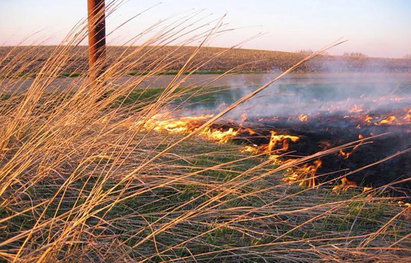 Prescribed burn taking place in a pasture.
