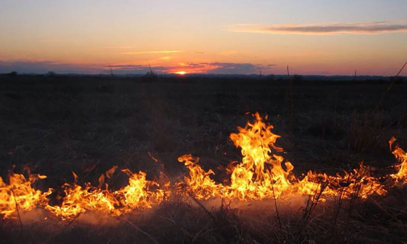 Prescribed burn taking place in a grassland property at dusk.