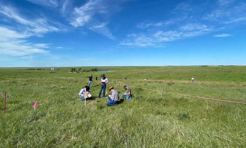 Group of youth examining range and grassland conditions.