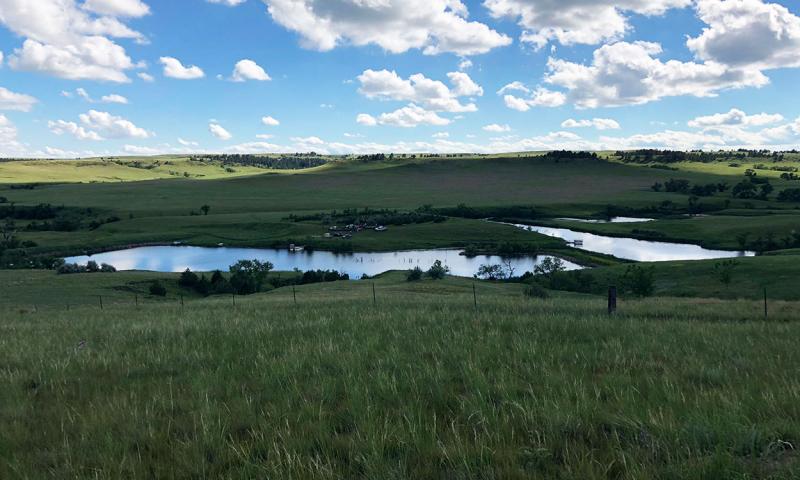 Vast, well-managed rangeland property with a healthy variety or resources.