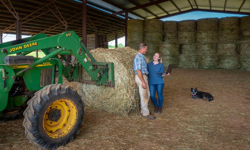 Young woman reviewing data on a laptop with a producer inside a hay shelter.