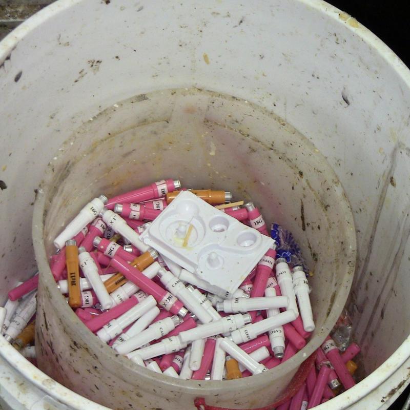 Unsafe sharps disposal container with several syringes and no lid.