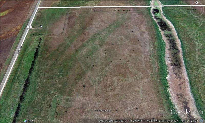 Aerial view of pastureland with scattered, volunteer cedar trees emerging throughout.