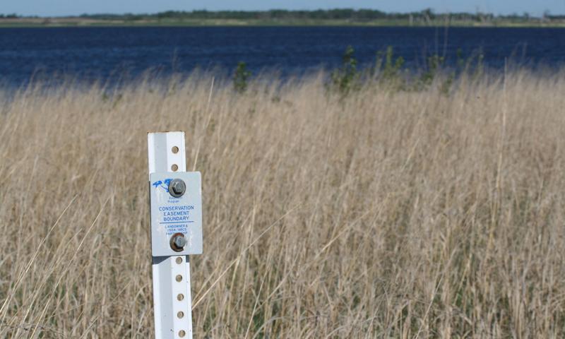 Marker indicating the boundary of conservation easement area.