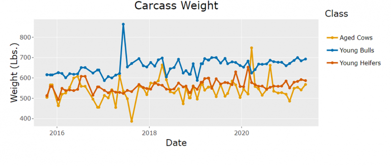 Screenshot of sample “Bison Carcass Weight” output. For a detailed description, call SDSU Extension at 605-688-6729.