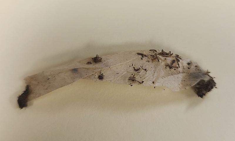 White silken tube with dark colored ends on a light background.