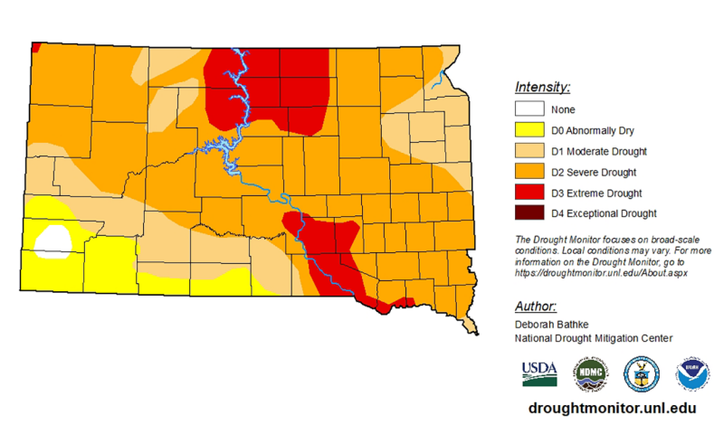 South Dakota drought map with yellow and orange indicating the severity of drought. Much of western South Dakota is covered in yellow, and there is a strip of yellow across the northern counties.