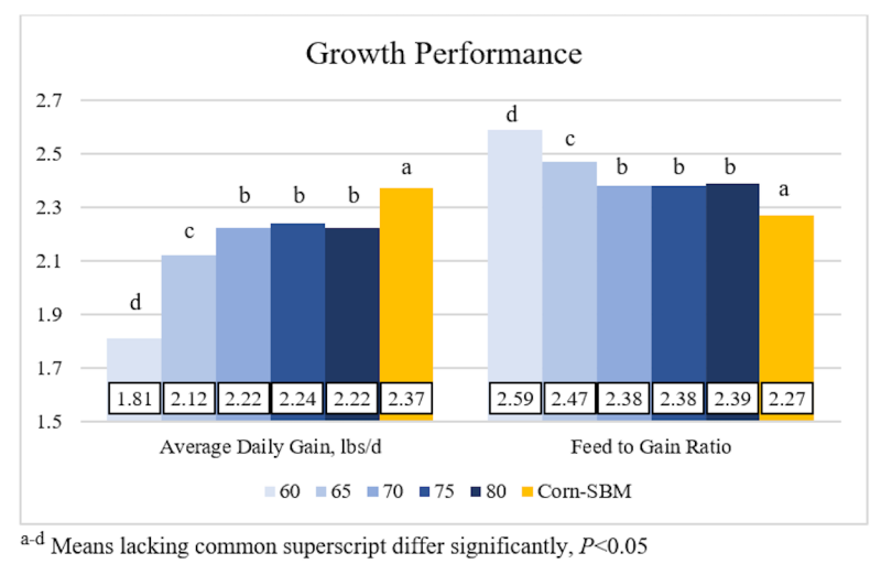 Bar graph displaying growing pig valine study performance results. Results indicate that pigs fed a corn-SBM diet still outperformed pigs fed diets containing DDGS. For an in-depth description of this graphic, call SDSU Extension at 605-688-6729.