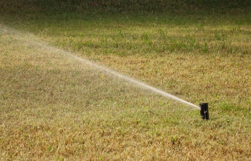Sprinkler system watering a lawn during the early morning.