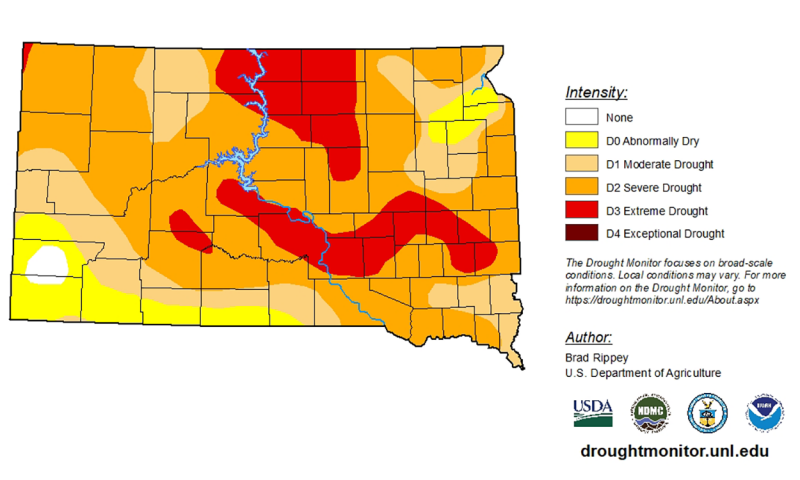 Color-coded drought monitor map of South Dakota. As of July 20, North Central South Dakota is facing extreme drought, while the rest of the state is under severe drought to abnormally dry conditions. A small pocket in the southwest has adequate moisture.