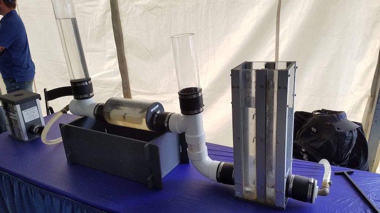 tubes with water sitting on a table