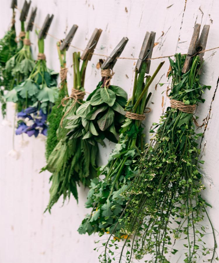 Variety of fresh herbs hanging in bunches from a burlap string.