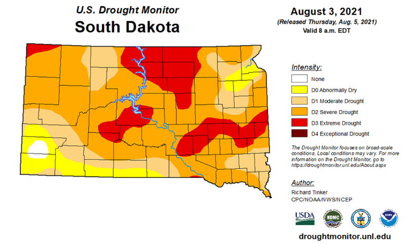 Color-coded drought monitor map of South Dakota. As of August 3, north-central South Dakota is facing extreme drought, while the rest of the state is under abnormally dry to severe drought conditions. A small portion of the southwest has adequate moisture.