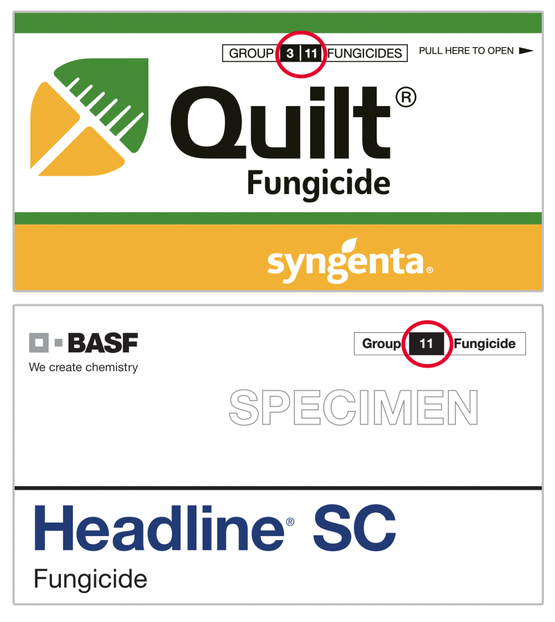 Two pictures of fungicide labels showing the FRAC code signifying mode of action.
