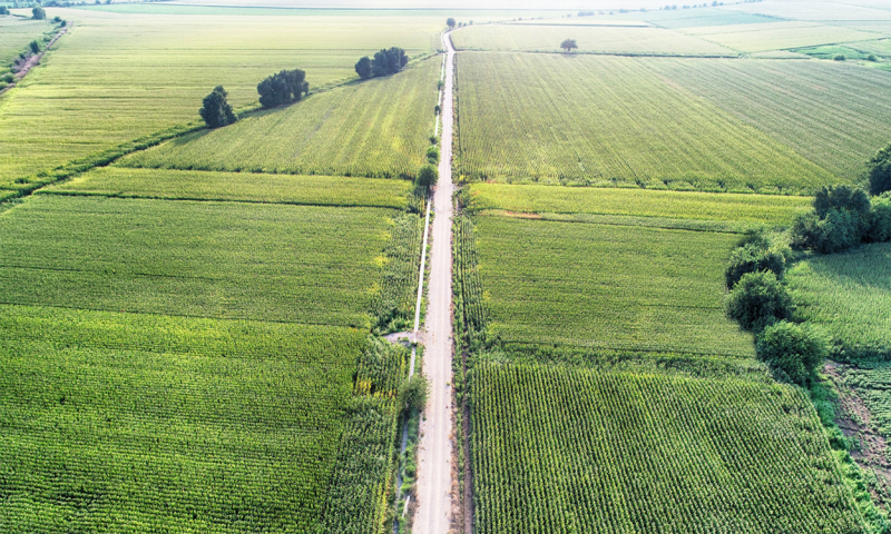 Aerial view of cropland with topographical variations.