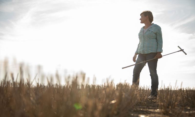 Female producer holding a soil core sampling probe in a harvested soybean field.