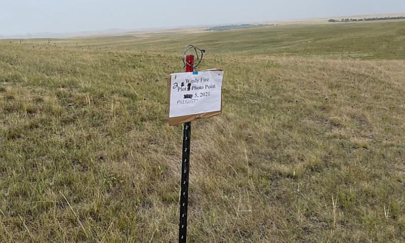 A picture showing a wildfire burn line on native rangelands.